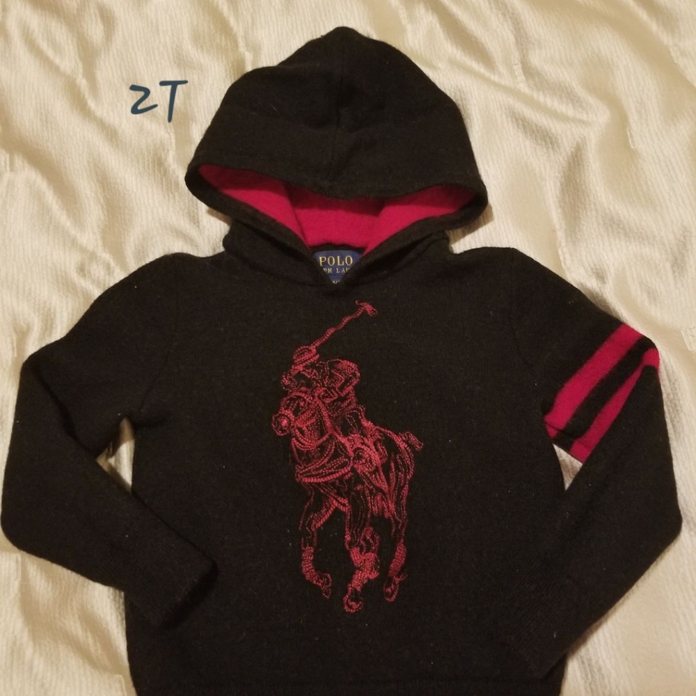 Polo Ralph Lauren Sweater Hoodie
